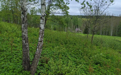 3_Rokantiškių kalva 2.jpg